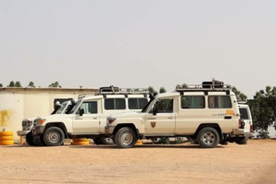 Super Safari Trip